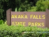 Akaka Falls State Park 01